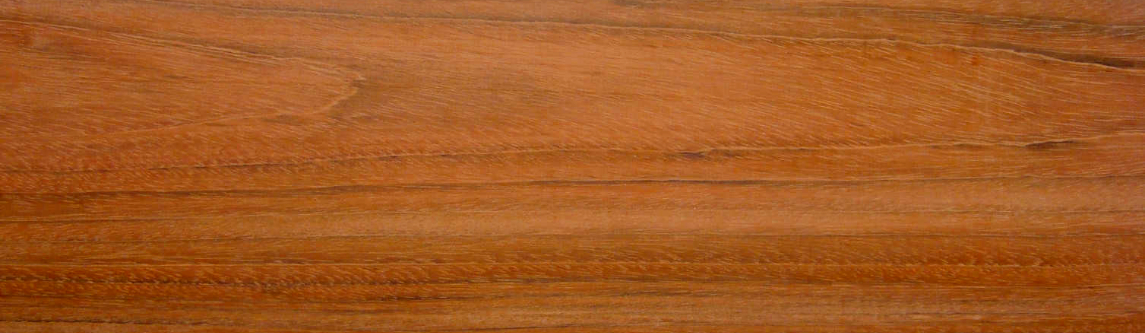 Locust Wood - Stinking Toe Tree - Imagen 3