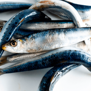Sardine -Frozen Seafood