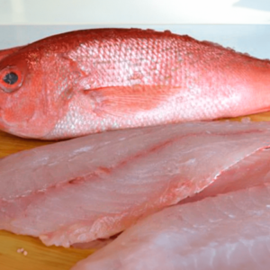 B-Liner Snapper Fillets -Frozen Seafood