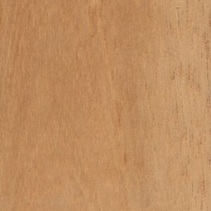 Spanish Cedar Wood - Cedrela spp